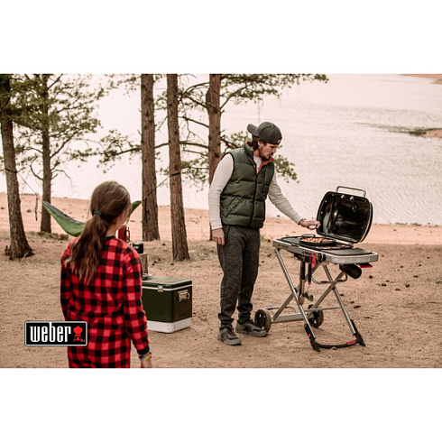 Газовые грили BBQ Weber Traveler (Bluestealth) купить в Минске.
