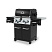 Газовые грили BBQ Broil King Regal 490 купить в Минске.