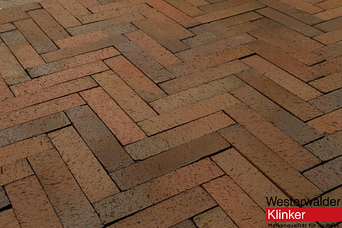 1269 , RIGEL, ригель WK102RB Design rot braun купить в Минске.