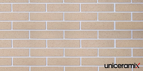 Клинкерная плитка UNICERAMIX, STRUKTUR, UXSWR купить в Минске.